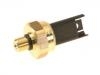 Capteur de Pression Pressure Sensor:13 53 7 614 317