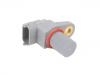 Camshaft Sensor:13 62 7 834 490